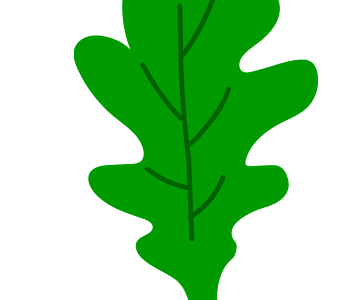 green oak leaf