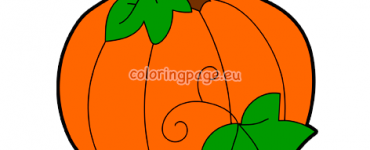 pumpkin leaves2
