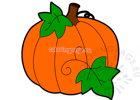 pumpkin leaves2