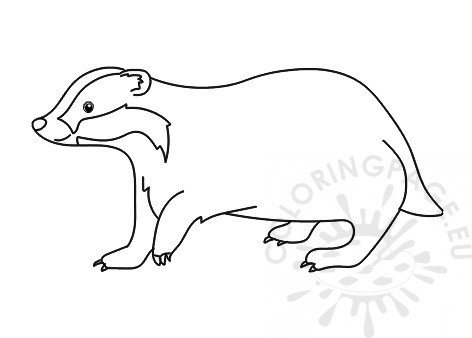 animal badger coloring page  coloring page