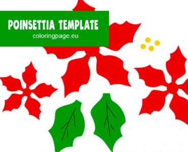 poinsettia