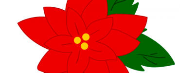 Christmas Red Poinsettia