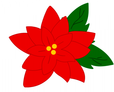 Christmas Red Poinsettia