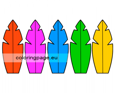 colored feathers