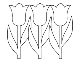 Three tulips Outline Drawing – Coloring Page