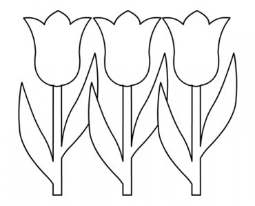 Three tulips