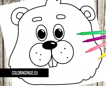 marmot face20