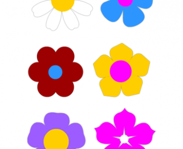 colorful spring flowers
