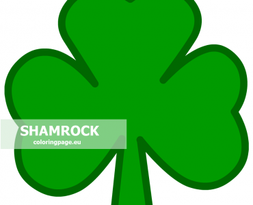irish shamrock leaves