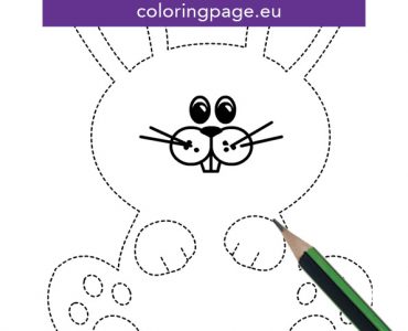 bunny tracing