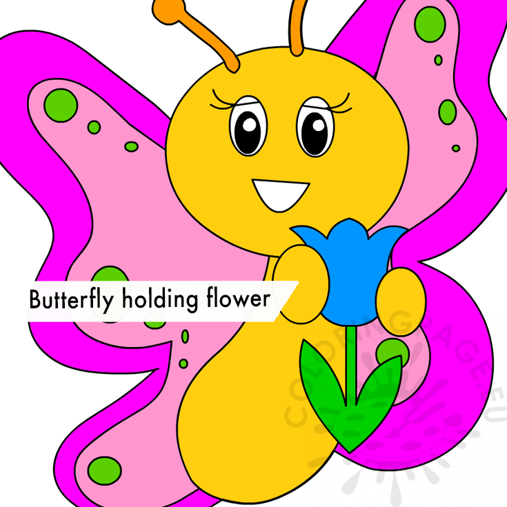 butterfly holding flower1