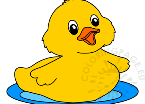 duck pond2