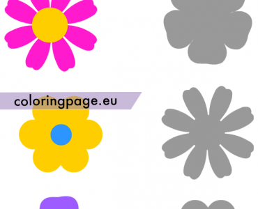flower shadow worksheet