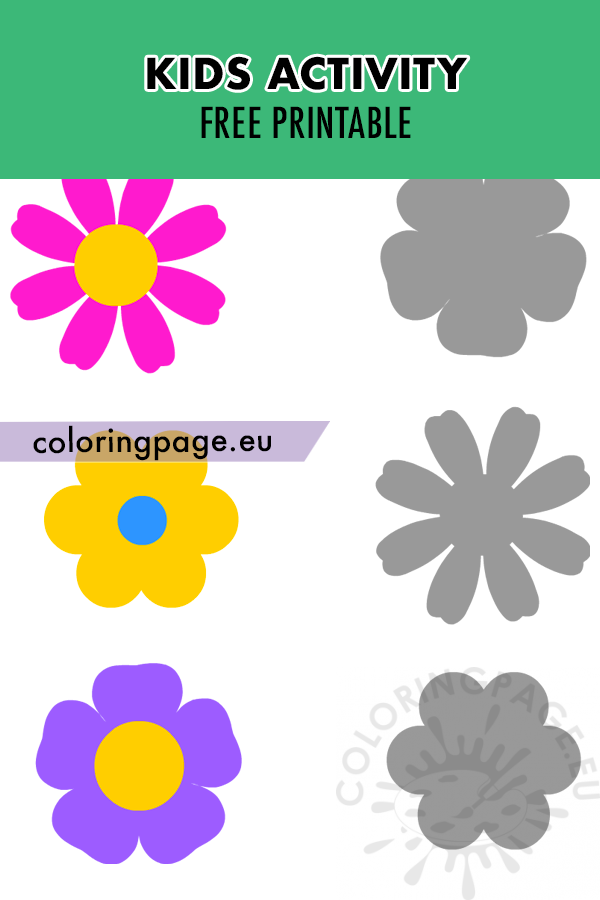 Flower shadow worksheet Kids Activity – Coloring Page
