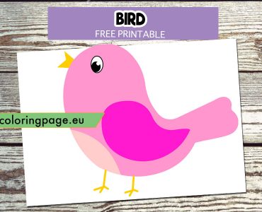 pink bird