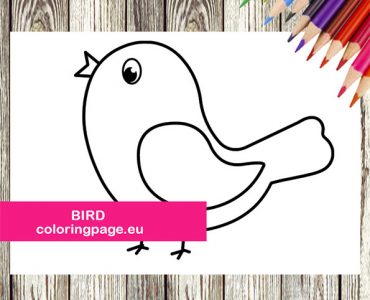singing bird