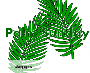 Palm Sunday Palm