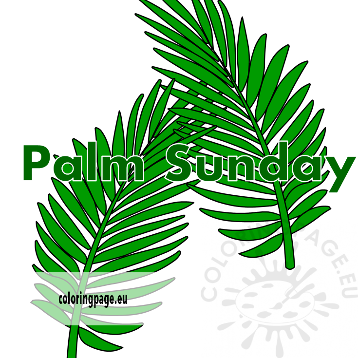 Palm Sunday Palm