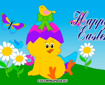 baby chick greeting card