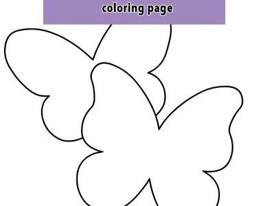 butterfly 20