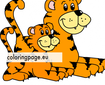 two tigers