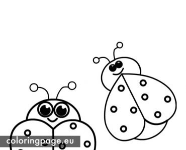 Ladybug birthday Card