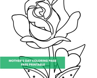 mothers day rose
