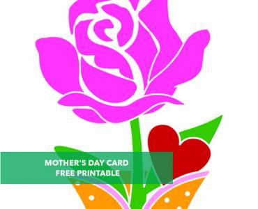 mothers day rose3