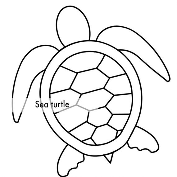 sea-turtle-outline-coloring-page