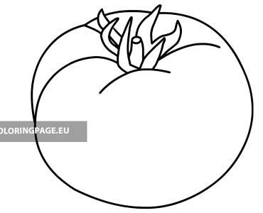 tomato vegetable1