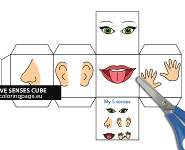 5 senses cube craft