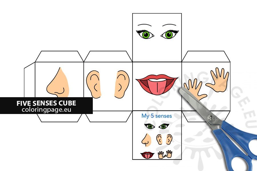 5 senses cube craft