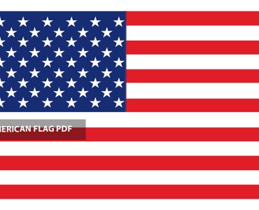 American Flag 20
