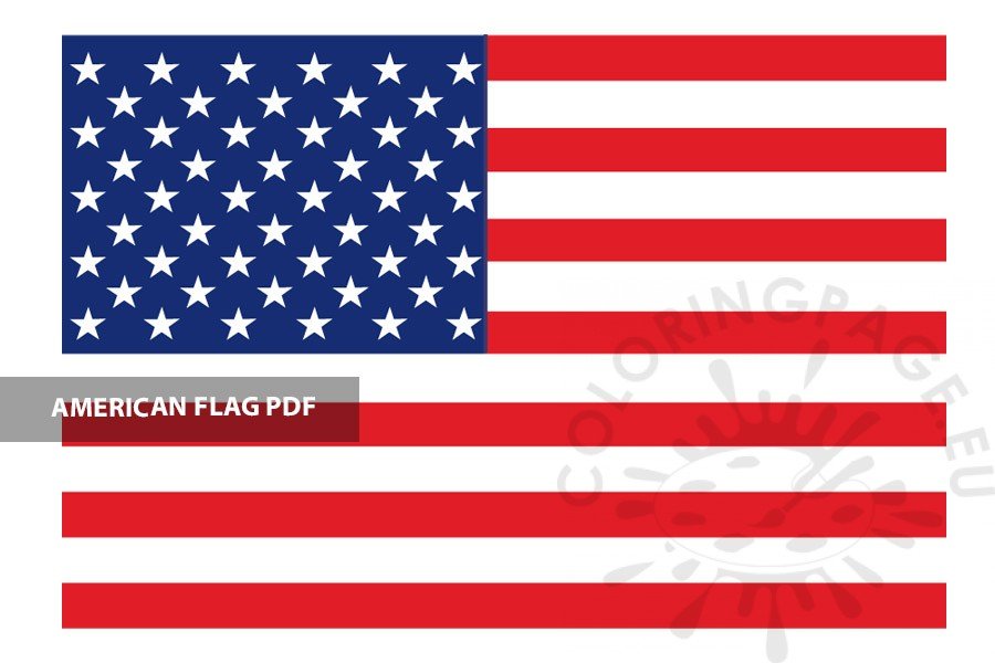 American Flag 20