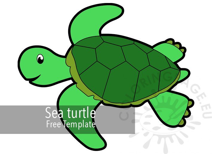 Happy sea turtle