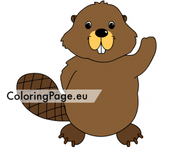 cute beaver