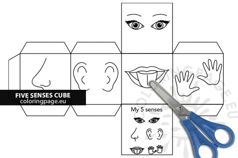 Free Five senses cube template | Coloring Page