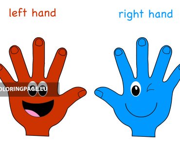 left right hands
