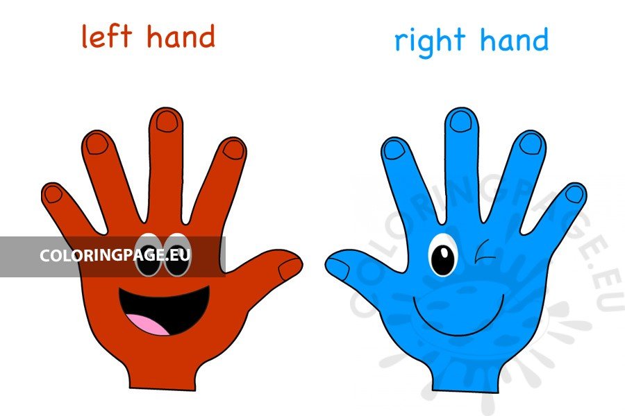 Left and Right Hands
