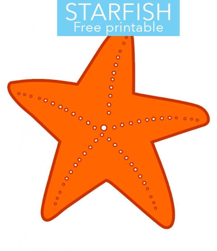 Orange Starfish Marine animal printable – Coloring Page