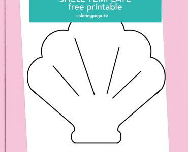 shell template