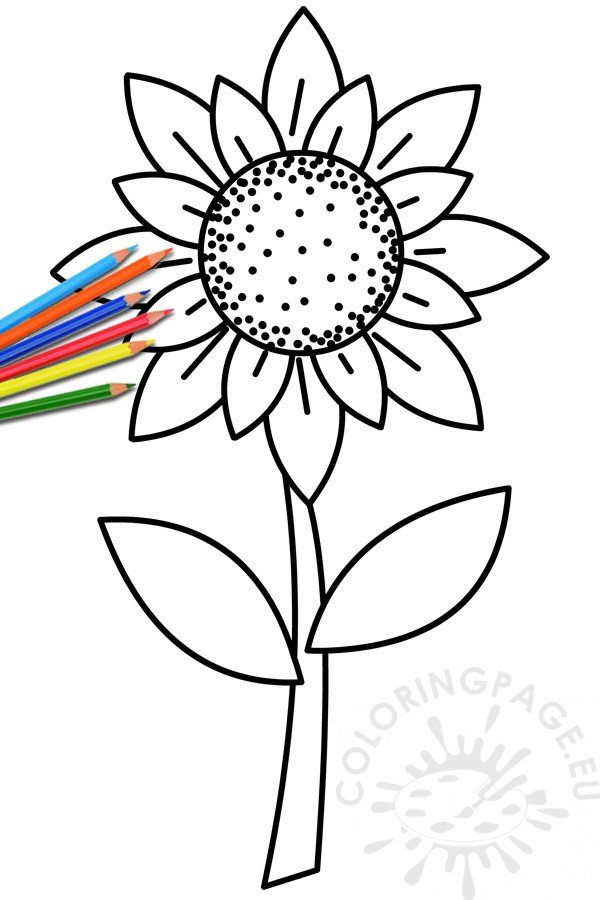 Download Summer sunflower with stem - Coloring Page