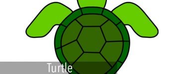 turtle small2