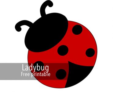colorful ladybug