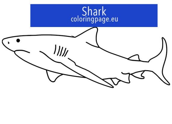 Free printable shark outline | Coloring Page