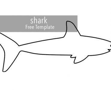 shark template