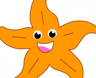 starfish animal