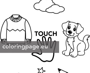sense touch worksheet