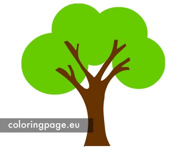 tree green foliage