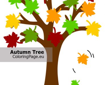 autumn tree